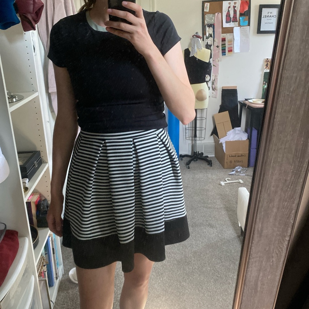 Black and White Striped Skirt